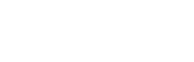logo tempus 11 anos.png